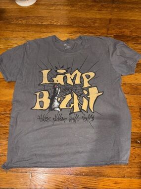 Graphic Band Tee - Gray Limp Bizkit